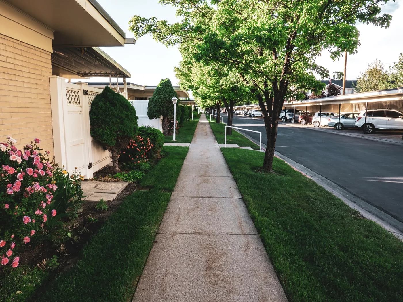 New concrete sidewalk with clean broom finish alongside a lawn — Baltimore area, MD.